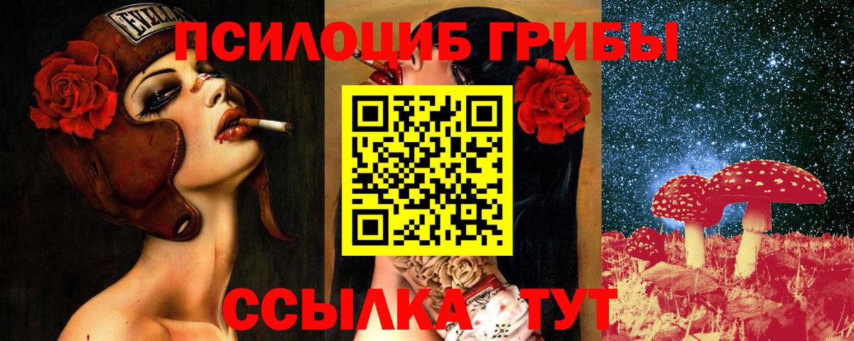 Псилоцибиновые грибы Psilocybe  Вход с VPN  купить наркоту  Галлюциногенные грибы Psilocybe  Тихвин 